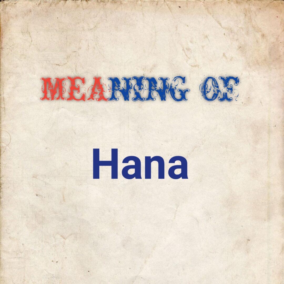 meaning of Hana