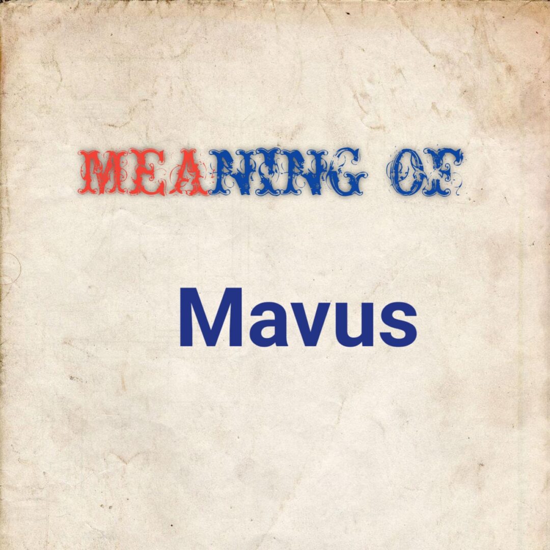 MEANING OF MAVUS