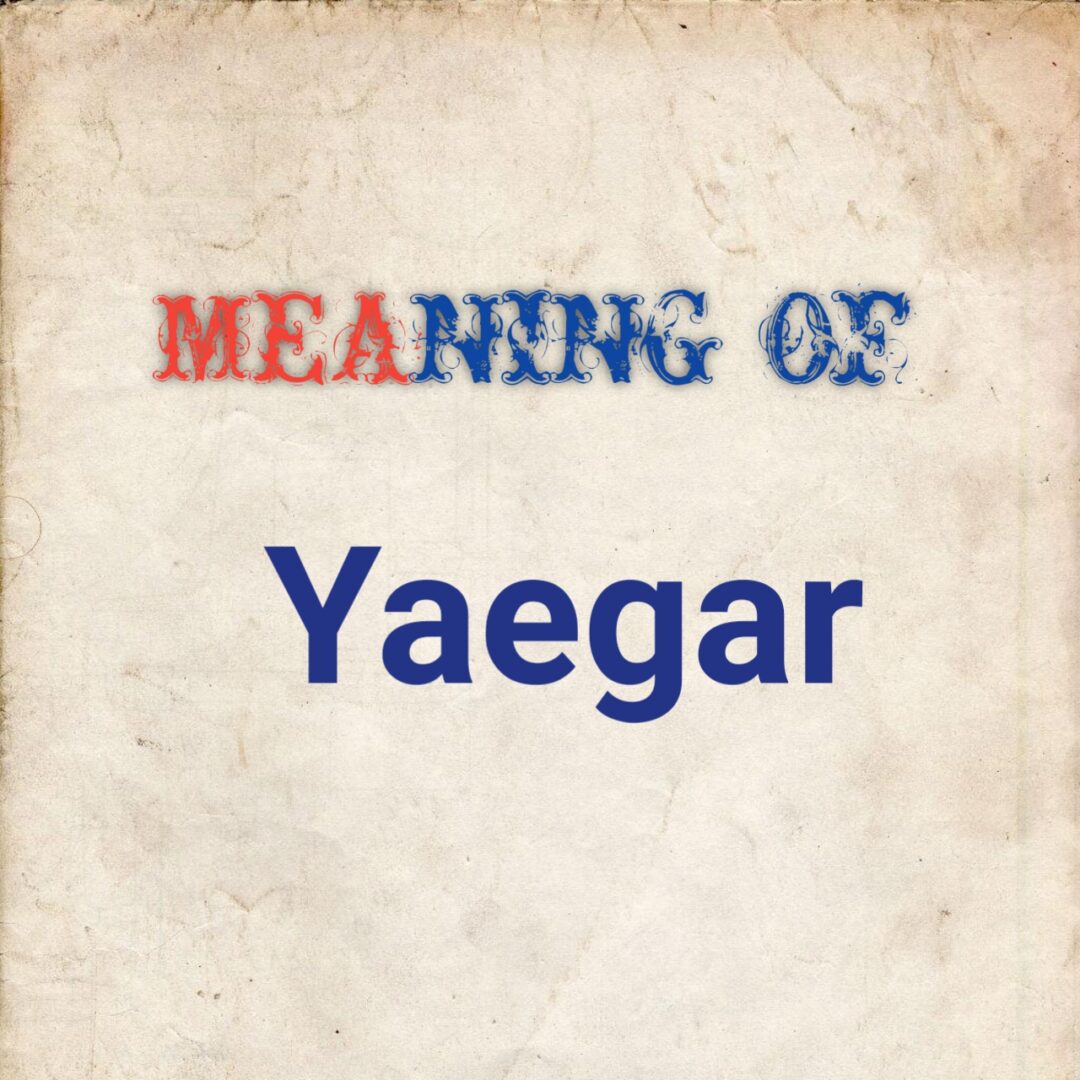 Meaning of yaegar