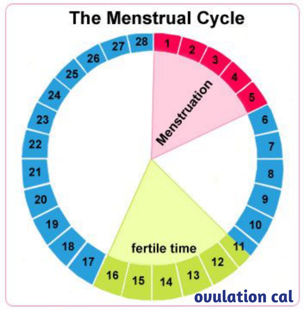 ovulation calculator