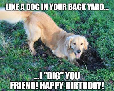 birthday wish for dog image5
