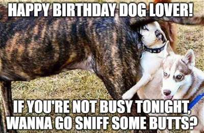 birthday wish for dog image11