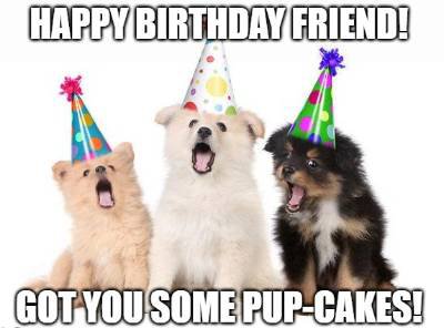 birthday wish for dog image4