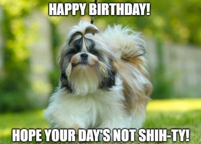 birthday wish for dog image1