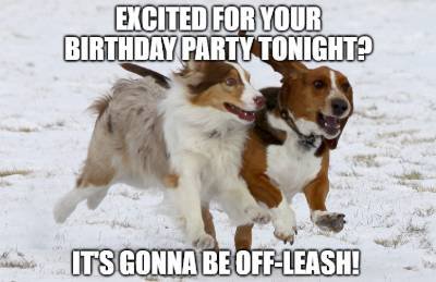 birthday wish for dog image7