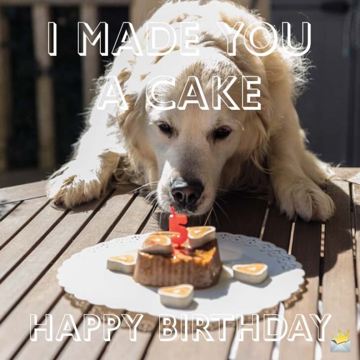 birthday wish for dog image3