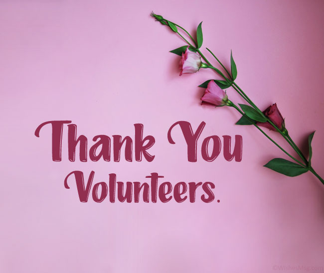 thank you volunteers image