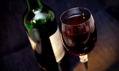 benefits of red wine during pregnancy