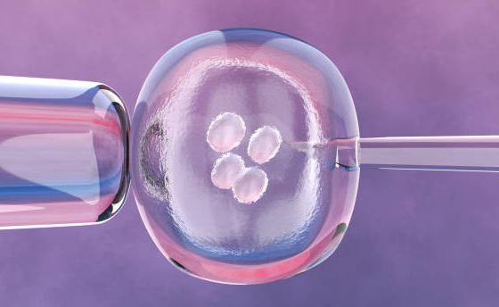 Tips to Keep in Mind While Opting for IVF Treatment