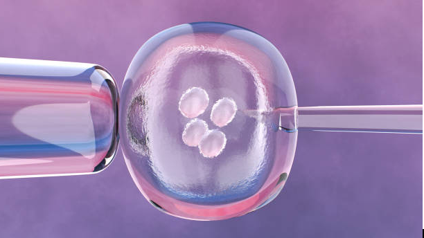 Tips to Keep in Mind While Opting for IVF Treatment
