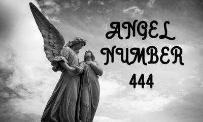 Angel Number 444