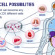What are stem cells and how can they help keep me healthy?