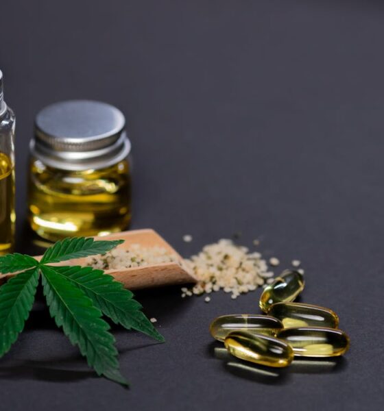 Does CBD Pills Ease Agony? Let's Find Out