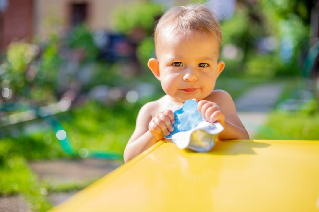 What New Parents Should Know About Baby Food Pouches 