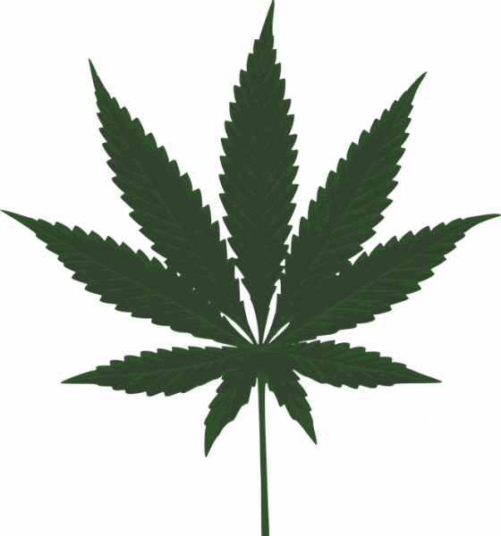 5 Ways In Which Delta 8 THC Oil Can Help You