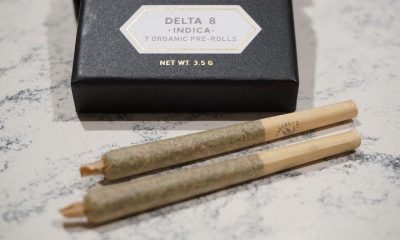 Do Delta 8 Distillate Benefits In Solving Your Temper Issues?