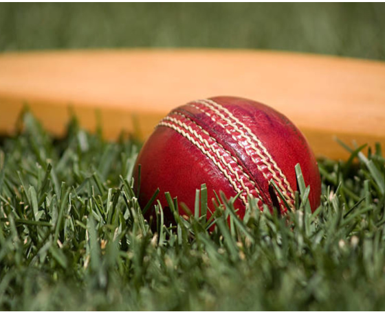 New Zealand Tour of Australia: betting tips, schedule, fixtures, and predictions on Parimatch